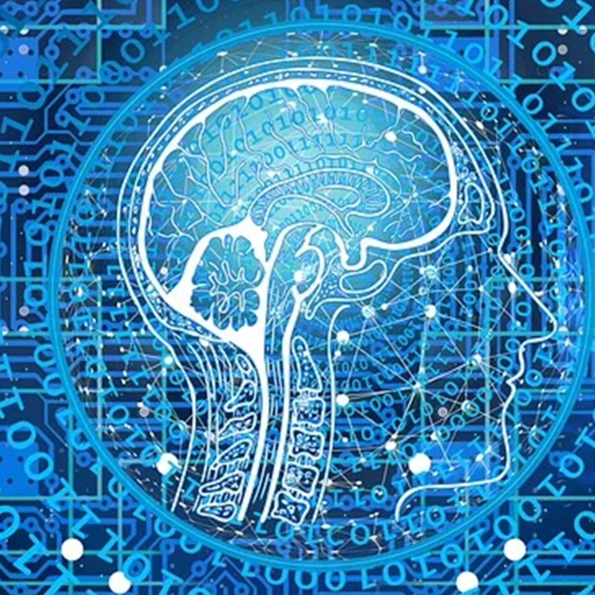 Exploratory Data Analysis for Machine Learning